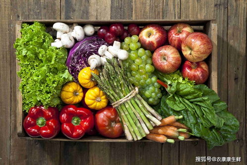 深圳市龍華區(qū)供港蔬菜首次出口 餐飲管理的協(xié)同創(chuàng)新與市場(chǎng)機(jī)遇